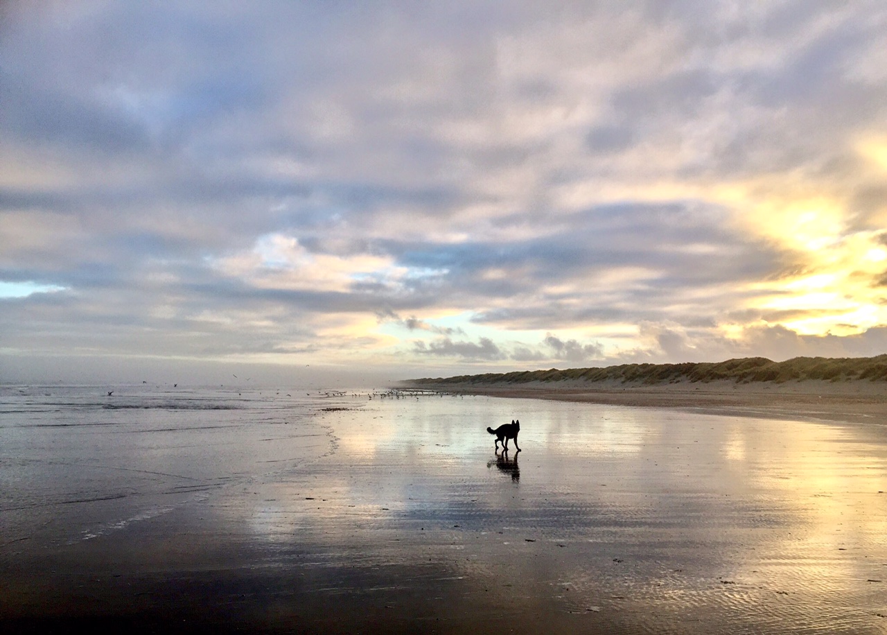 Beleef Ameland vakantiehuis meer dan 150 vakantieverblijven